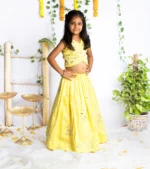 Padma Gotta Patti Ghgara Set