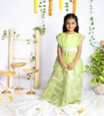 Gotta Organza Plazzos With Butterfly Peplum Top - Image 5