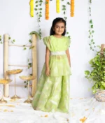 Gotta Organza Plazzos With Butterfly Peplum Top