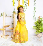 Enchnated Embroidered Ghagra Set - Image 4