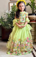 Enchnated Embroidered Ghagra Set - Image 6