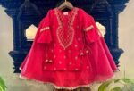 Kota Doria Kurta Skirt Set - Image 4