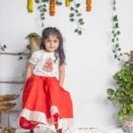 Padma Laxmi Ghagra Set - Image 3