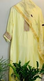 Velvet Patch Paijali Suit