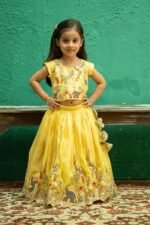Safari Embroidered Lehenga/Ghagra Set - Image 6