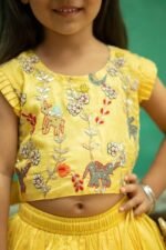 Safari Embroidered Lehenga/Ghagra Set - Image 7