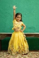 Safari Embroidered Lehenga/Ghagra Set - Image 5