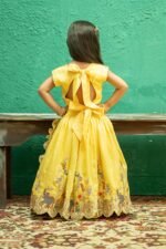 Safari Embroidered Lehenga/Ghagra Set - Image 4