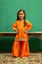 Mirror Work Sharara Set