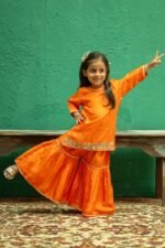 Mirror Work Sharara Set - Image 6