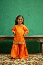 Mirror Work Sharara Set - Image 4
