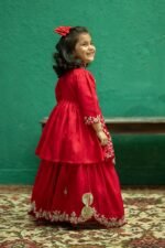Pearl Embroidered Ghagra Set - Image 7