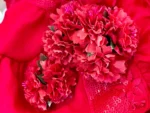 Floral Jamna Set - Image 2