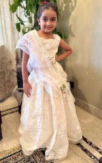 Flower Organza Cutwork Lehenga