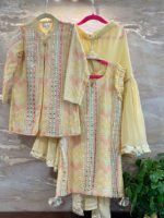 Multi Resham and Mirror Jacket Set - Image 3