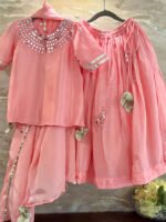 Elephant Bird Lehenga Set - Image 6