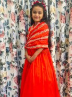 Scarlet Red Gown