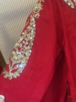 Paijali Lehenga Set - Image 4