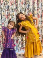 Patola Pannelled Kurta Sharara Sets - Image 12
