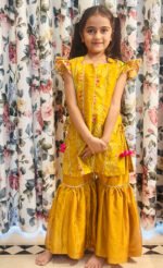 Patola Pannelled Kurta Sharara Sets - Image 10