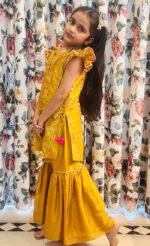 Patola Pannelled Kurta Sharara Sets - Image 9