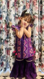Patola Pannelled Kurta Sharara Sets - Image 7
