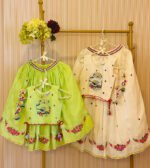 Birdcage Lehenga Set