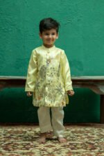 Flamingo Sherwani Set - Image 7