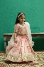 Triangle Gotta Lace Lehenga - Image 8
