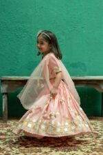 Triangle Gotta Lace Lehenga - Image 6