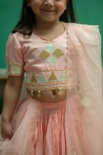 Triangle Gotta Lace Lehenga - Image 5