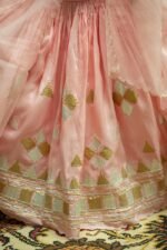 Triangle Gotta Lace Lehenga - Image 4