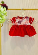 Floral Embroidered Baby Dress