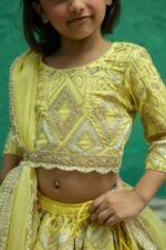 Geometric Gotta Lace Lehenga Set - Image 5