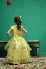 Nature Vibes Yellow Lehenga Jacket Set - Image 3