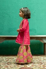 Gotta Embroidery On Printed Sharara Set - Image 22
