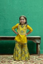 Gotta Embroidery On Printed Sharara Set - Image 16
