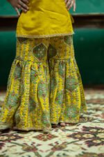 Gotta Embroidery On Printed Sharara Set - Image 13