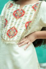 Gotta Embroidery On Printed Sharara Set - Image 5