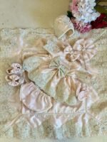 Satin & Organza Jamna Set - Image 3