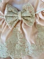 Satin & Organza Jamna Set - Image 4